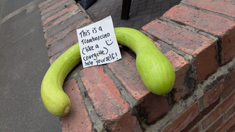 A sign on a vegetable on a brick wall with the words "This is a Tromboncino (like a Courgette) help yourself!"