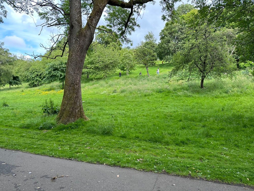 The area in Kelvingrove park where we’ll be 