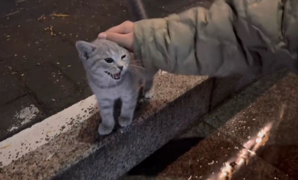 touch it
feel is soft and warm