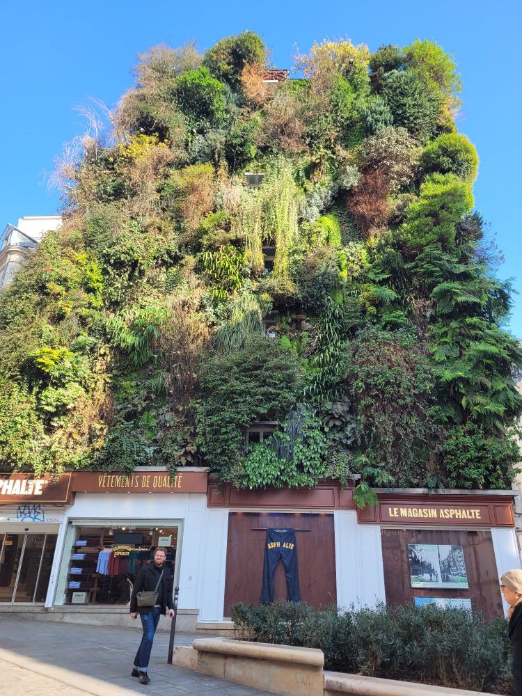 Façade végétalisee rue des petits carreaux Paris
