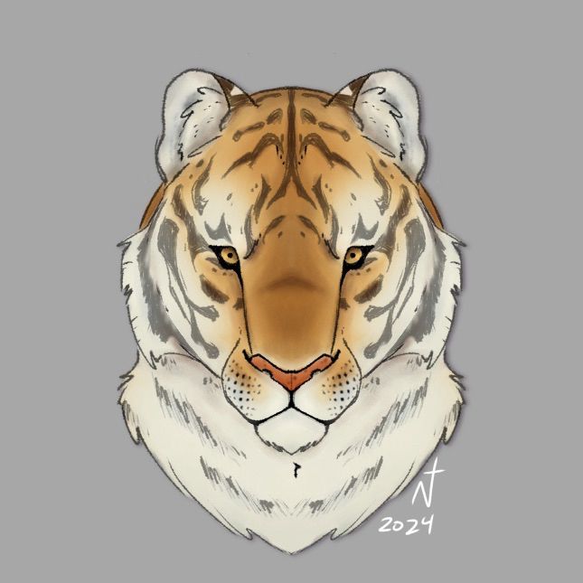An old piece from December of 2024 showing a light orange tiger, with its face down, but its eyes toward the screen. The muzzle is thinner and the eyes are smaller. End alt.