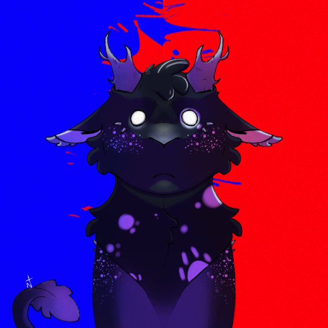 A fluffy dragon, specifically a Nightwing-Icewing hybrid, with a dark blue-gray primary coat color, a lighter shade of said color on her underbelly, along with freckles and spots of white throughout her body, including in her ears and the tip of her tail. She has short horns, with branches similar to antlers. Her eyes are pure white dots, with distressed, furrowed eyebrows. The background is split down the middle, with blue on the left, and red on the right.