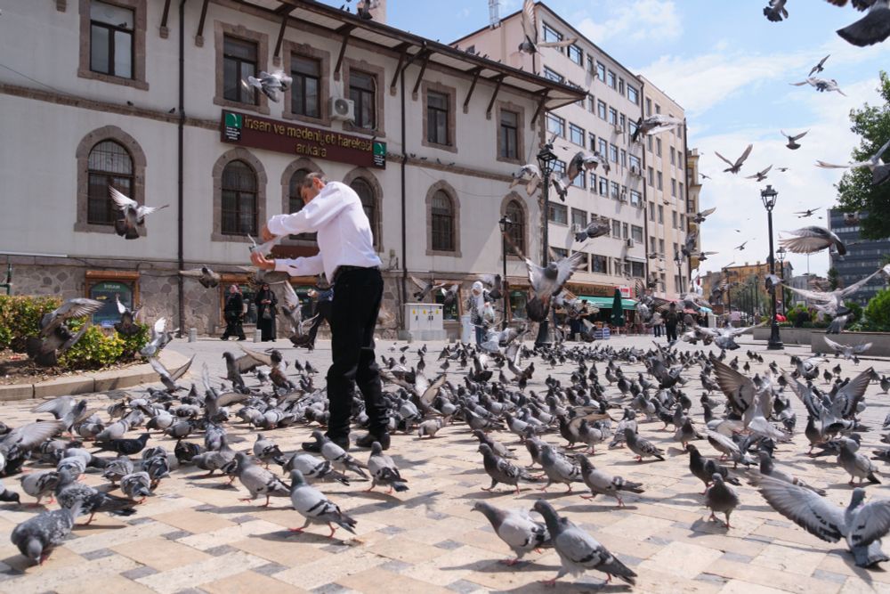 A man feeding pigeons. He is surrounded by dozens of birds and more are flying in.