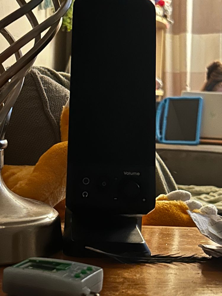 a terrible photo of terrible computer speakers 