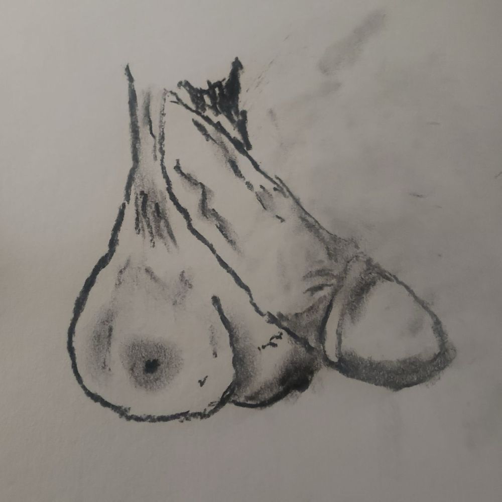 a drawing in charcoal of a dick with boobs for balls 