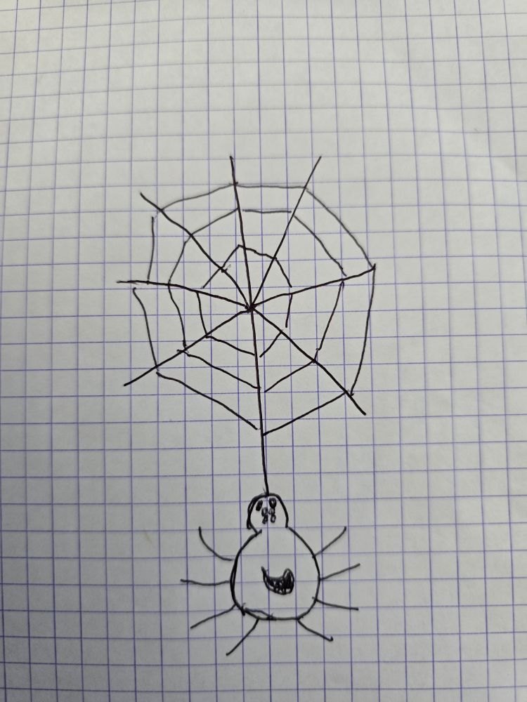 Dessin araignée et sa toile