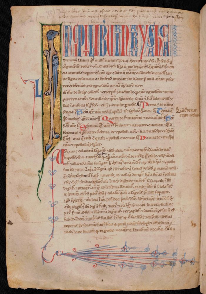 Gorgeous opening page of a text in a thirteenth-century medieval manuscript of Isaac Israeli's Liber Urinarum, or Book of Urines. The opening initial is in gold leaf, with a dragon inside the letter, and the rest of the opening title is in large, oddly scattered letters in alternating red and blue. At the bottom of the page is a stylized comet in red and blue extending from the letter "U" at the start of the first chapter.
