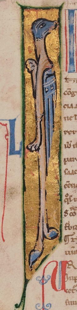 A long and tall stylized dragon inhabiting an initial "I" in a medieval manuscript. It is tan with blue head, wings, and feet, on a gold leaf background. He looks displeased at his presence in the book.