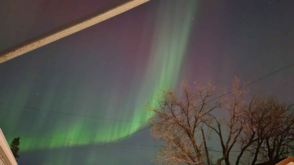 A photo of the night sky, with a tree in the lower right. A green streak of aurora runs like a backwards L across the sky.