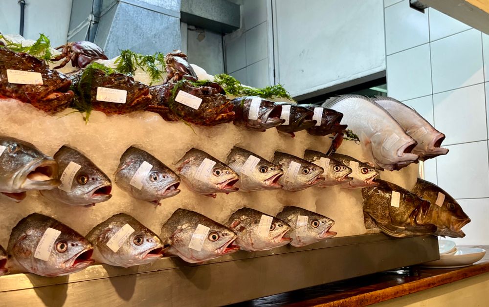 Each labelled with name and source on Peruvian pacific coast 