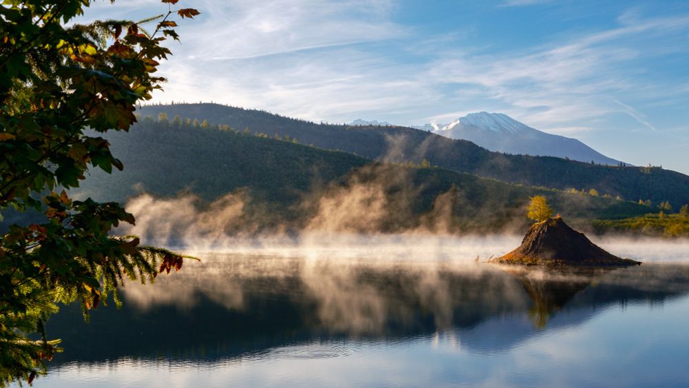 warm morning light hitting fog on a lake with a small rock island in front of rolling hills and mt st helens in the background. left of frame is a mix of trees and leaves getting hit by the warm light as well