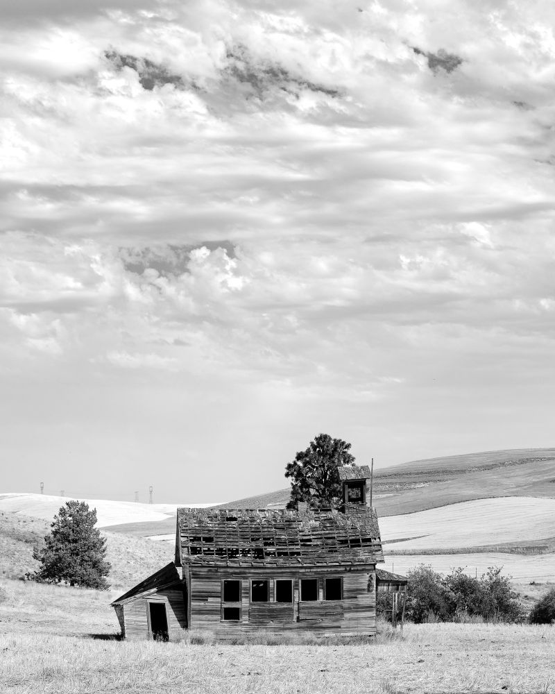 Black and white image of a dilapidated shack alone in a field with rolling hills behind it and a dramatic sky with clouds 