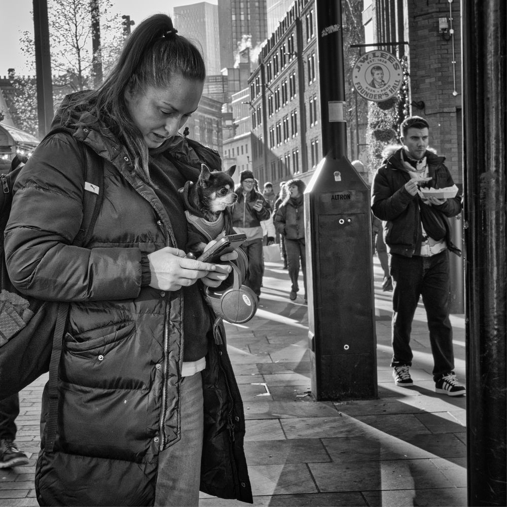 Woman stands reading her phone and has a tiny dog cradled in her other arm.