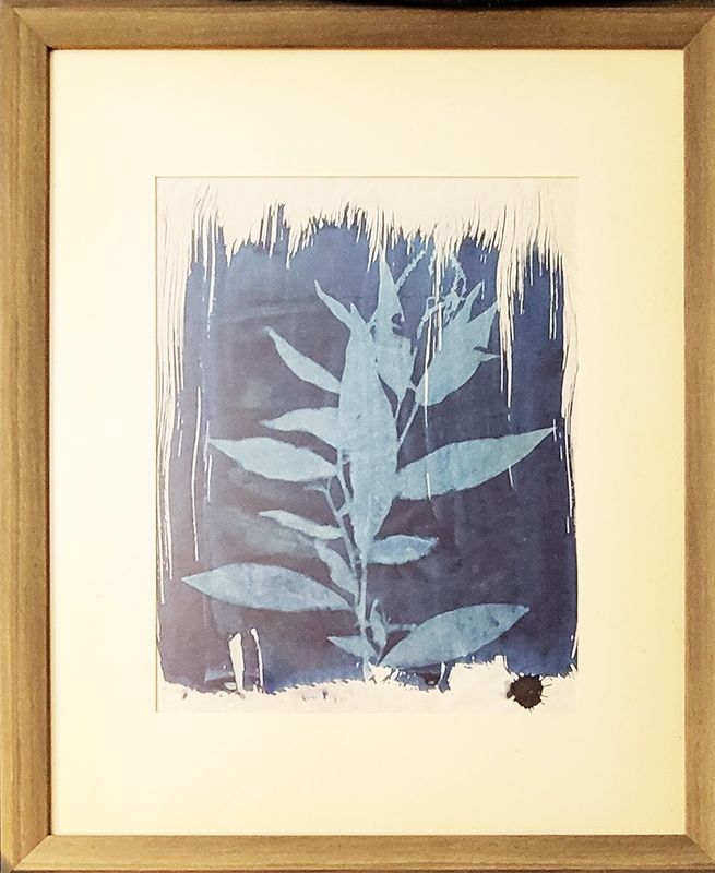 Cyanotype of wildflowers