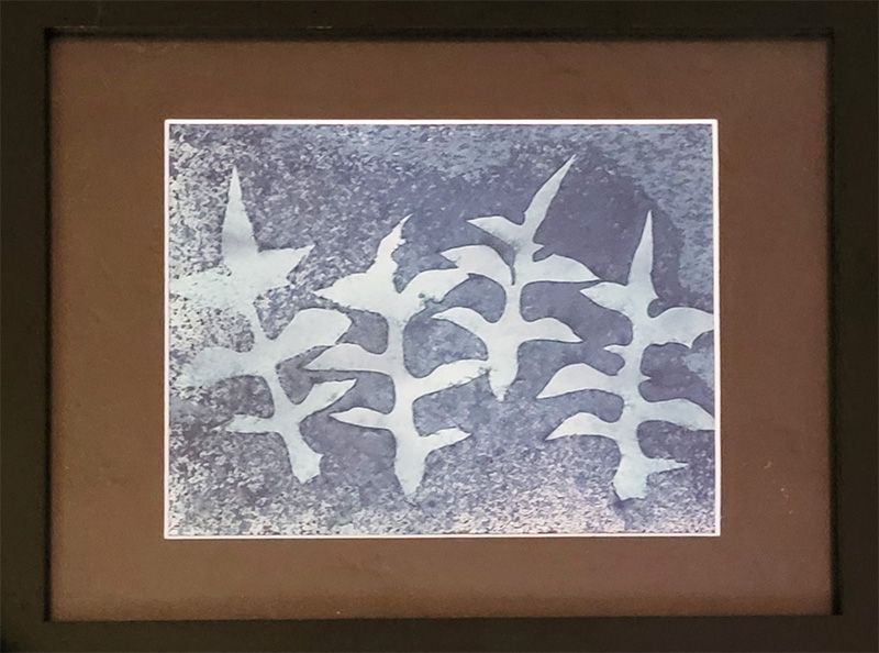 Cyanotype with four leaves