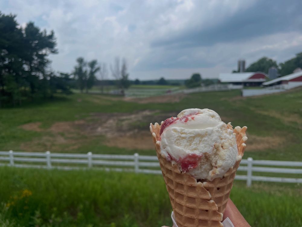 A cone of ice cream in front of a dairy farm