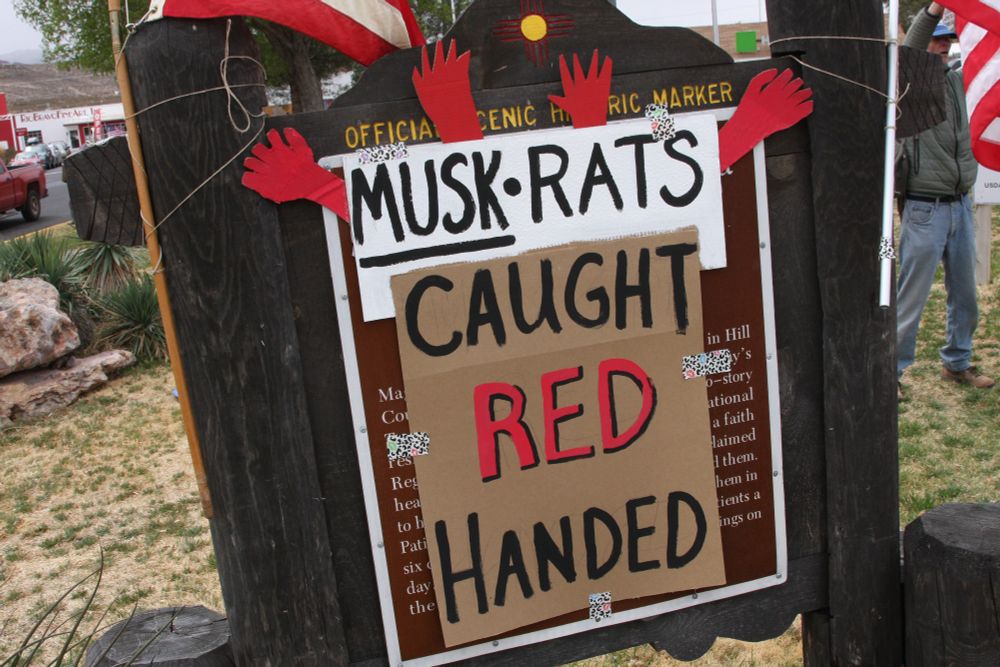 Musk-Rats Caught Red Handed