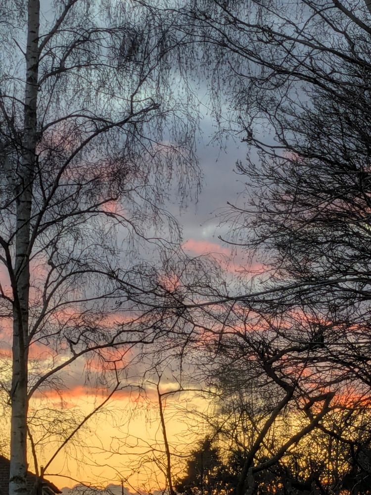 Photo taken through the window of the sunset… the gold, the pink, the trees… beautiful!