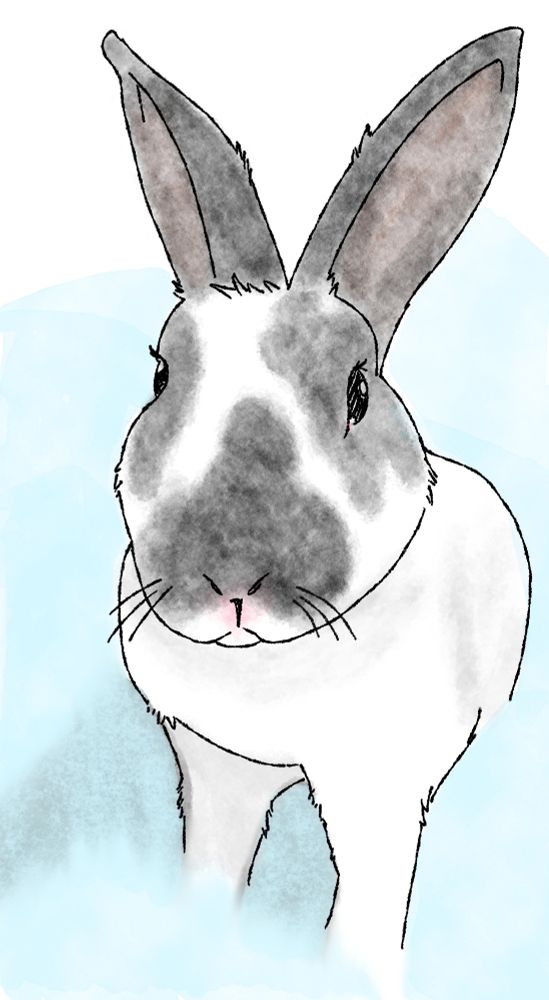 Digital illustration of a white rabbit with dark spots, colored in a water color style
