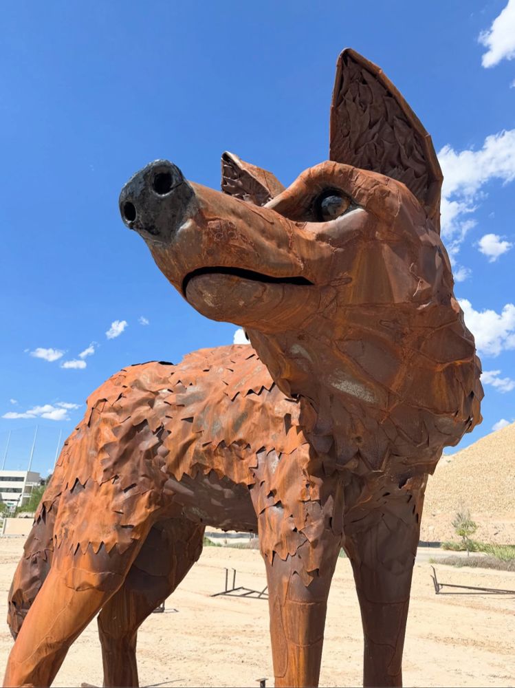 A cupric looking coyote statue stands curiously in the desert.