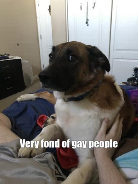 Very fond of gay people 