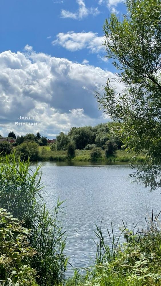 A view looking out across the lake 