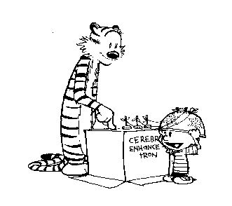 Reading Calvin and Hobbes makes you clever. Or at least more clever than your professors.