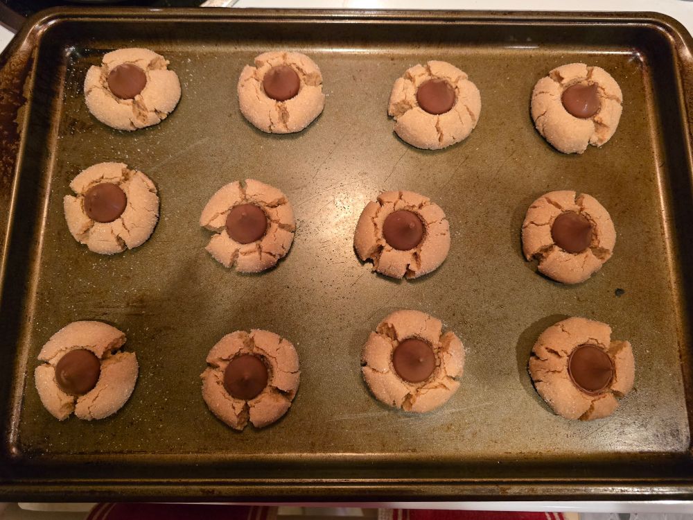 completed peanut butter blossom cookies on a sheet 