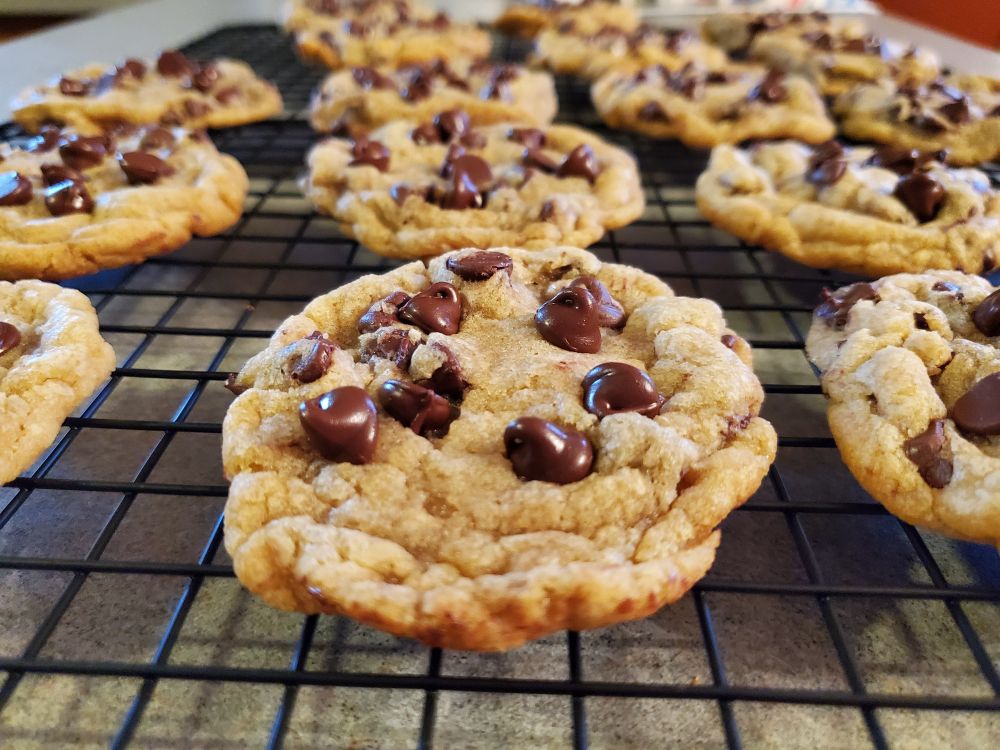 A close-up of a chocolate chip cookie, still warm from the oven, with melting chocolate chips on top.