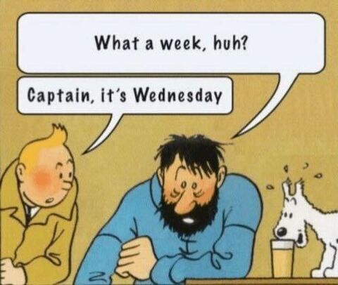 "What a week huh?"
"Captain, it's Wednesday"