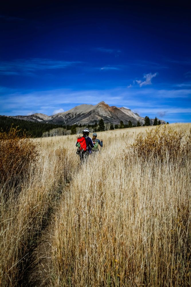 The parkwide fire danger level for Yellowstone National Park is VERY HIGH. Stage 1 fire restrictions will go into effect beginning Tuesday, August 12. Under Stage 1 fire restrictions, charcoal and all campfires are prohibited in the backcountry, including those in established fire rings. Portable gas stoves and lanterns are allowed only in areas that are barren or cleared of all overhead and surrounding flammable materials within a 3-foot radius. Smoking is permitted only in areas adjacent to the provided fire ring in designated campsites or within a 3-foot-diameter area cleared of all flammable material. Smokers must ensure that all cigarette butts are properly extinguished.