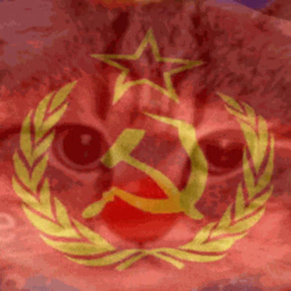 a close up of a cat 's face with a hammer and sickle on a red background .