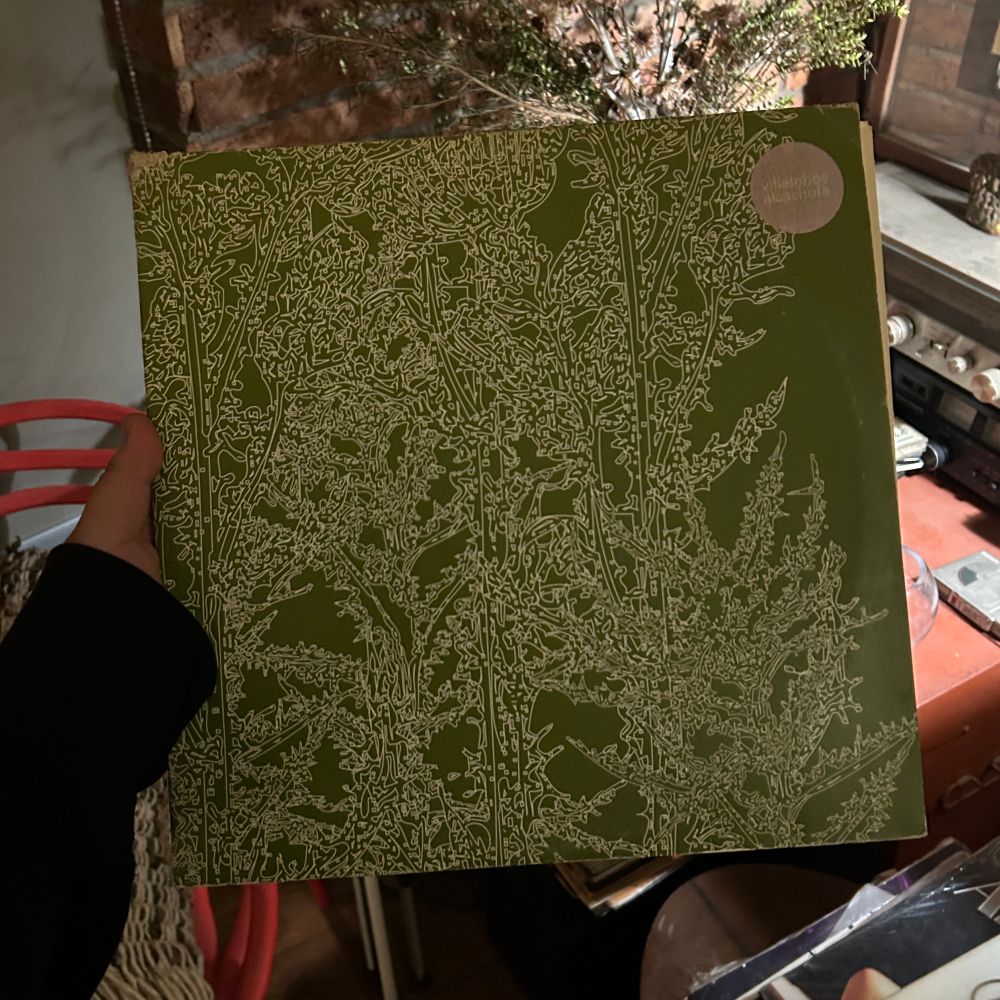 LP Alcachofa by Villalobos