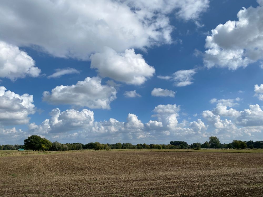 Blick über ein abgeerntetes Feld in die Ferne. Es ist sonnig und der angenehme Wind treibt weiße Wolken über den blauen Himmel. 