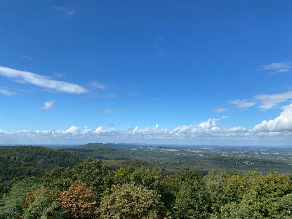Toller Ausblick auf den Teutoburger Wald, im Vordergrund dichter Laubwald, blauer Himmel mit ein paar Wölkchen bei Sonnenschein. Weiter Blick in die Ferne. 