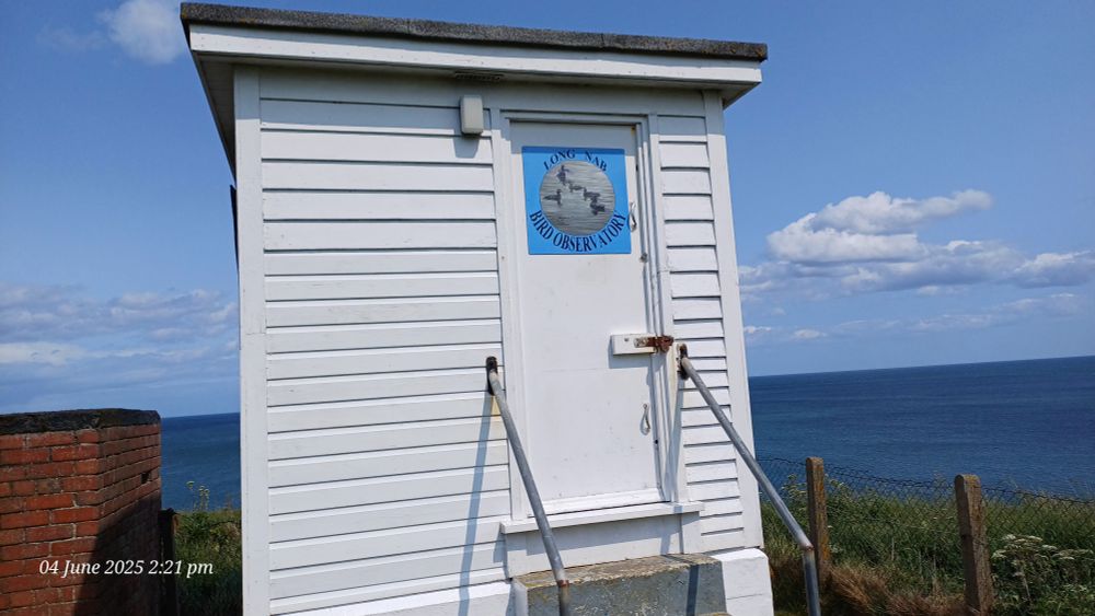 Long Nab bird observatory 