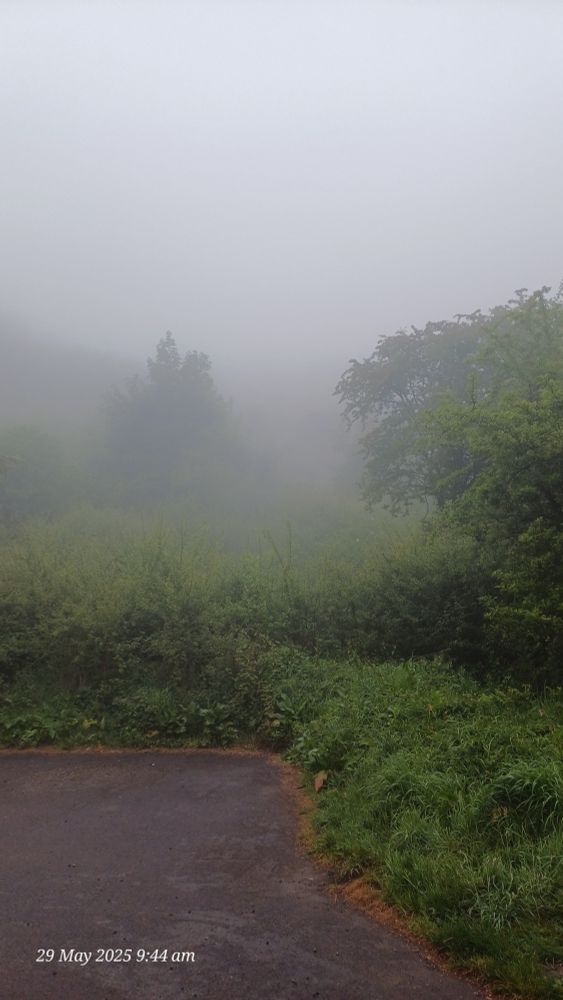 A little bit misty