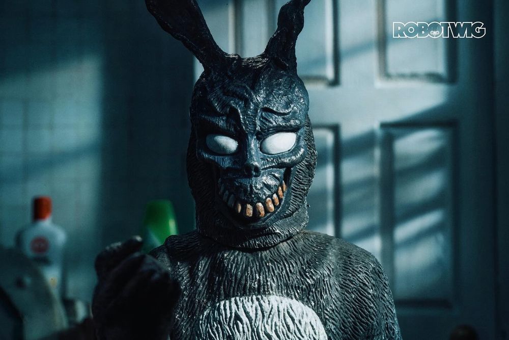 Frank the Rabbit in a bathroom looking in a mirror