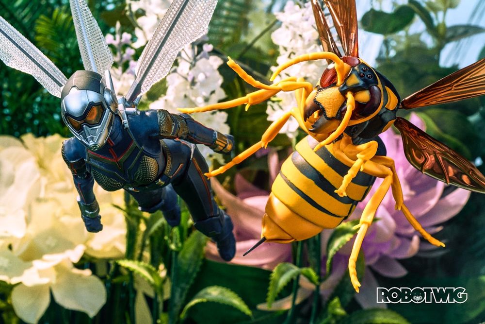The Wasp gets chased by a wasp in flowery garden. Wasp has stinger out ready to attack
