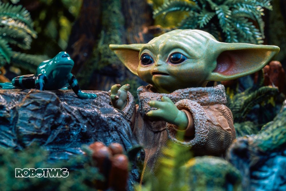 Grogu chasing an Arges frog around the forest