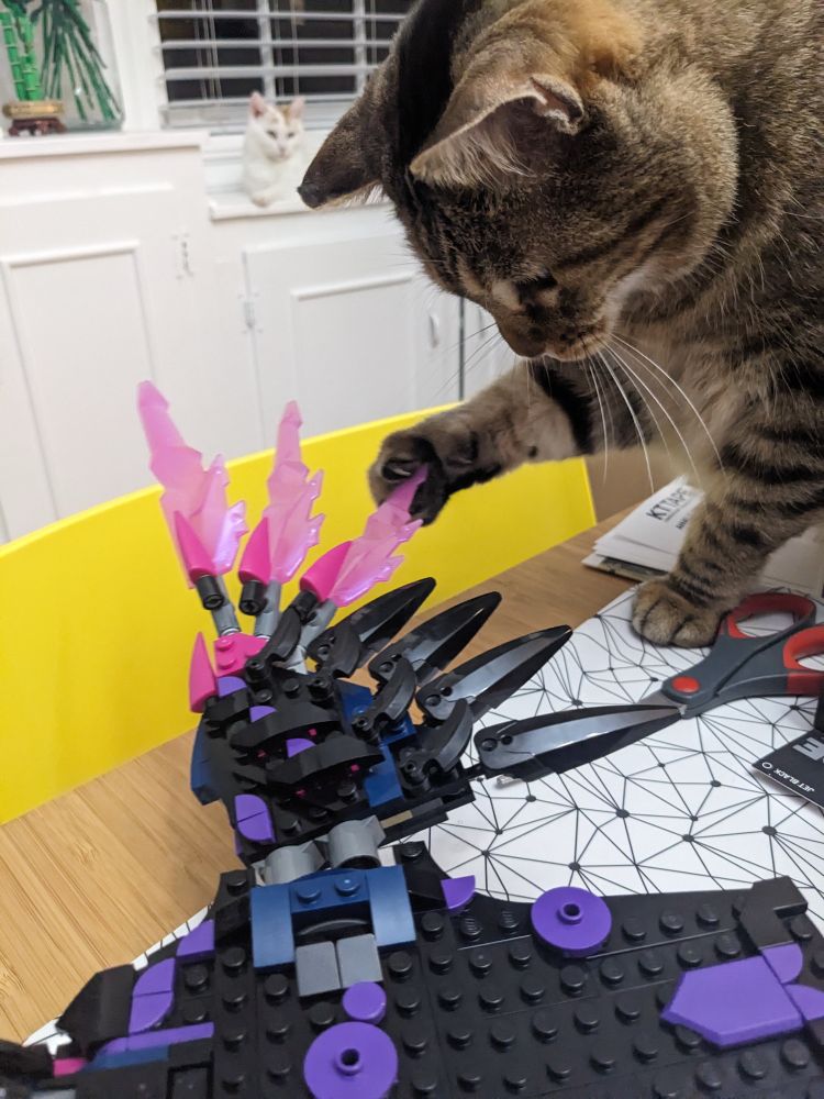 A brown tabby paws at a LEGO raven's wing