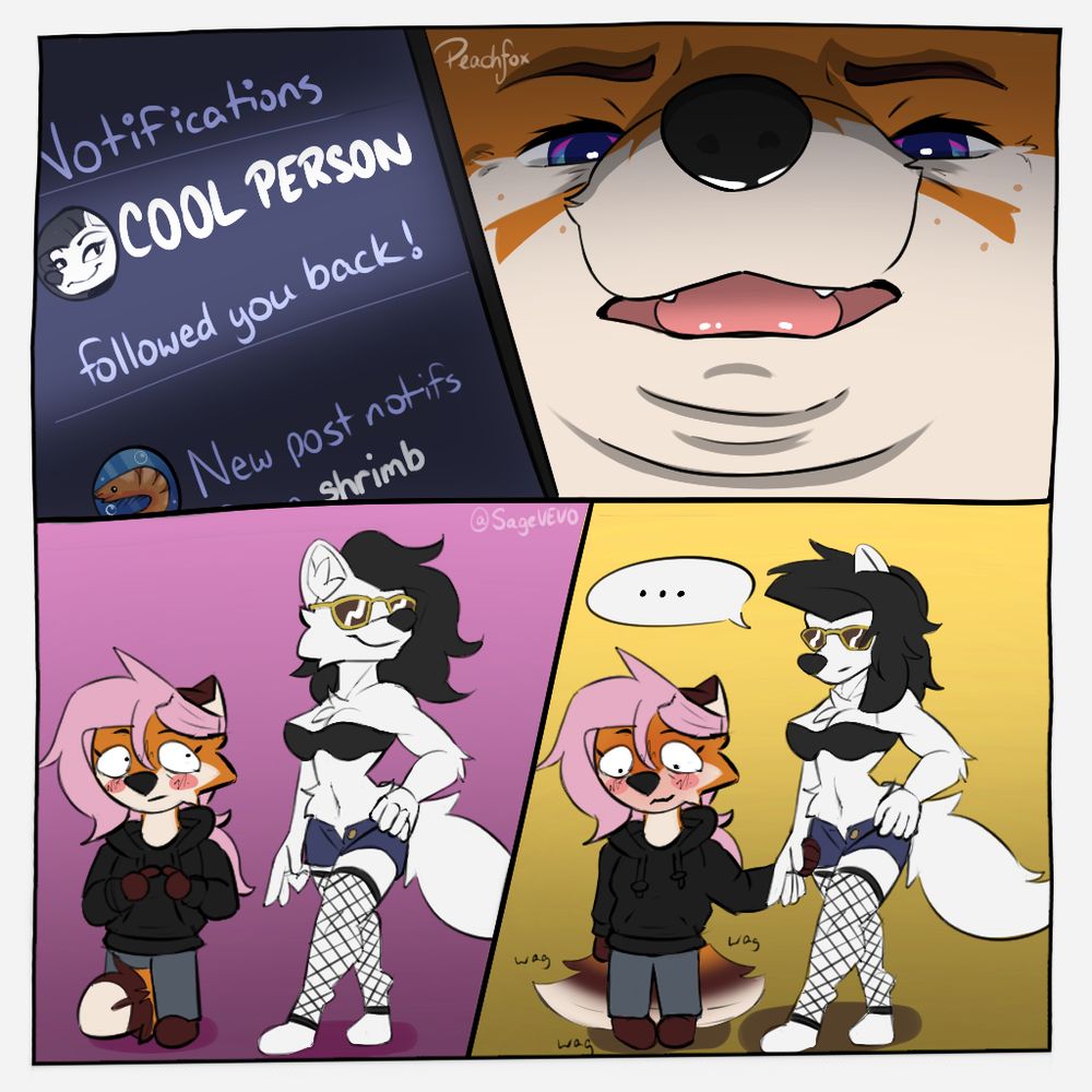 Panel 1: "COOL PERSON followed you back!" reads on a Notification screen
Panel 2: Sage with a triple chin looking down at the camera, very confused
Panel 3: Sage stands next to the cool person, giving them a sideways glance and blushing.
Panel 4: Sage reaches out to grab the cool person's hand. She's blushing much more now, with a small smile as her tail wags. The cool person Is looking down at her like a parent who's considering the possibility that the babies got swapped at the hospital.

Do people actually read these?? If ur reading this comment your favorite picture of Adam Sandler just so I know that this is going somewhere. Also I just wanna see pictures of Adam Sandler. He seems like a cool guy who I'd love to get boneless wings with.