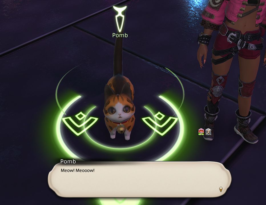 FFXIV screenshot: A cat Meowing