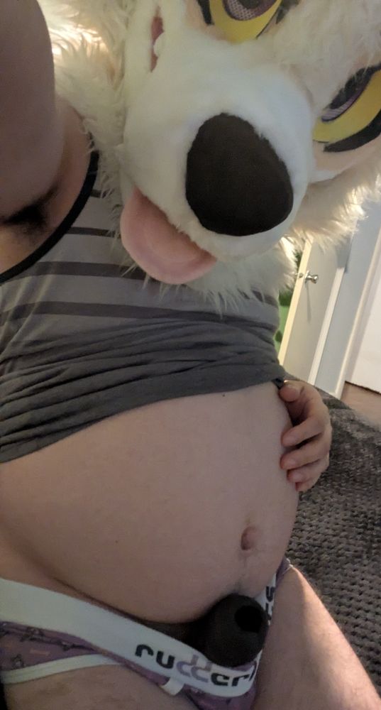 tummy and undies selfie in fursuit head, with the undies pulled down revealing a wearable sheath