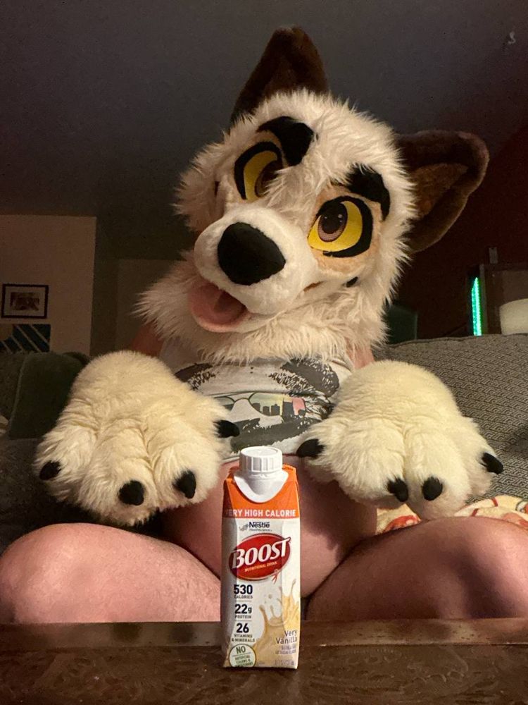 Naked selfie of snarkanine, a boost perfectly censoring his crotch as he sits there with puppy paws at attention 