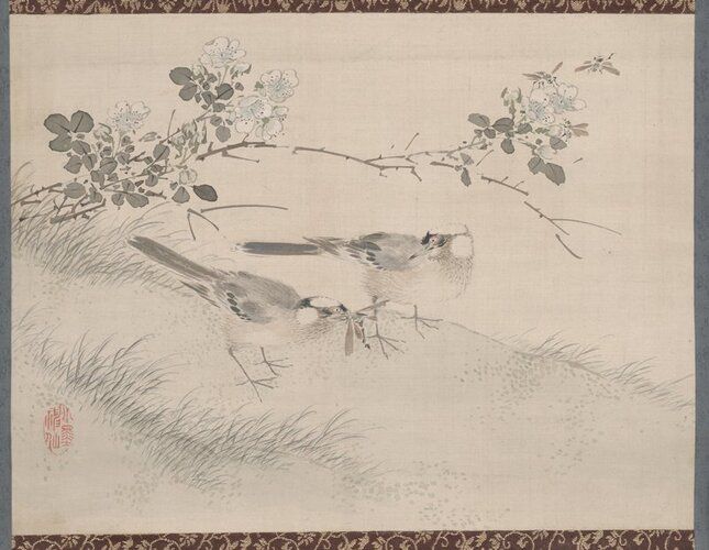 two small gray and brown birds standing side by side near center; L bird grasping something in its beak, while bird at R stares; birds standing on slight hill amid low grasses; branch with white blossoms extends across image at top; three flying insects around blossoms at UR