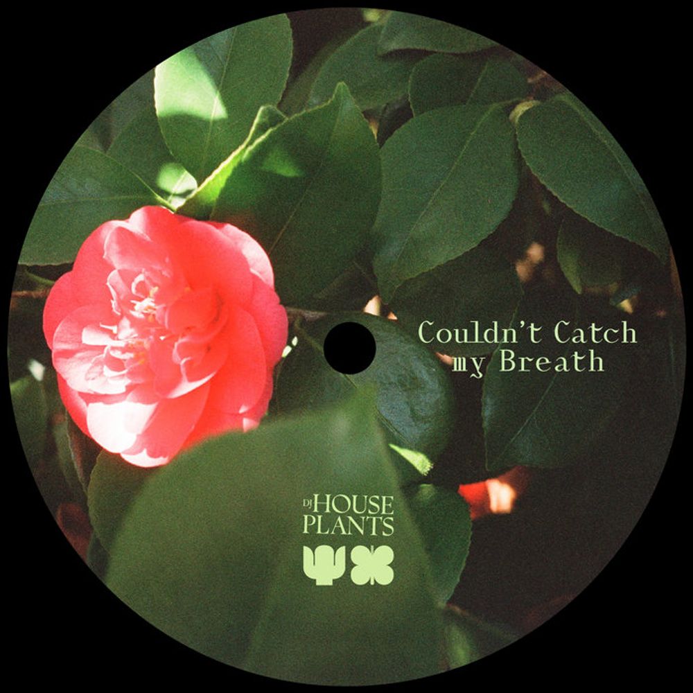 Couldn't Catch My Breath, by DJ Houseplants, Harriet Brown