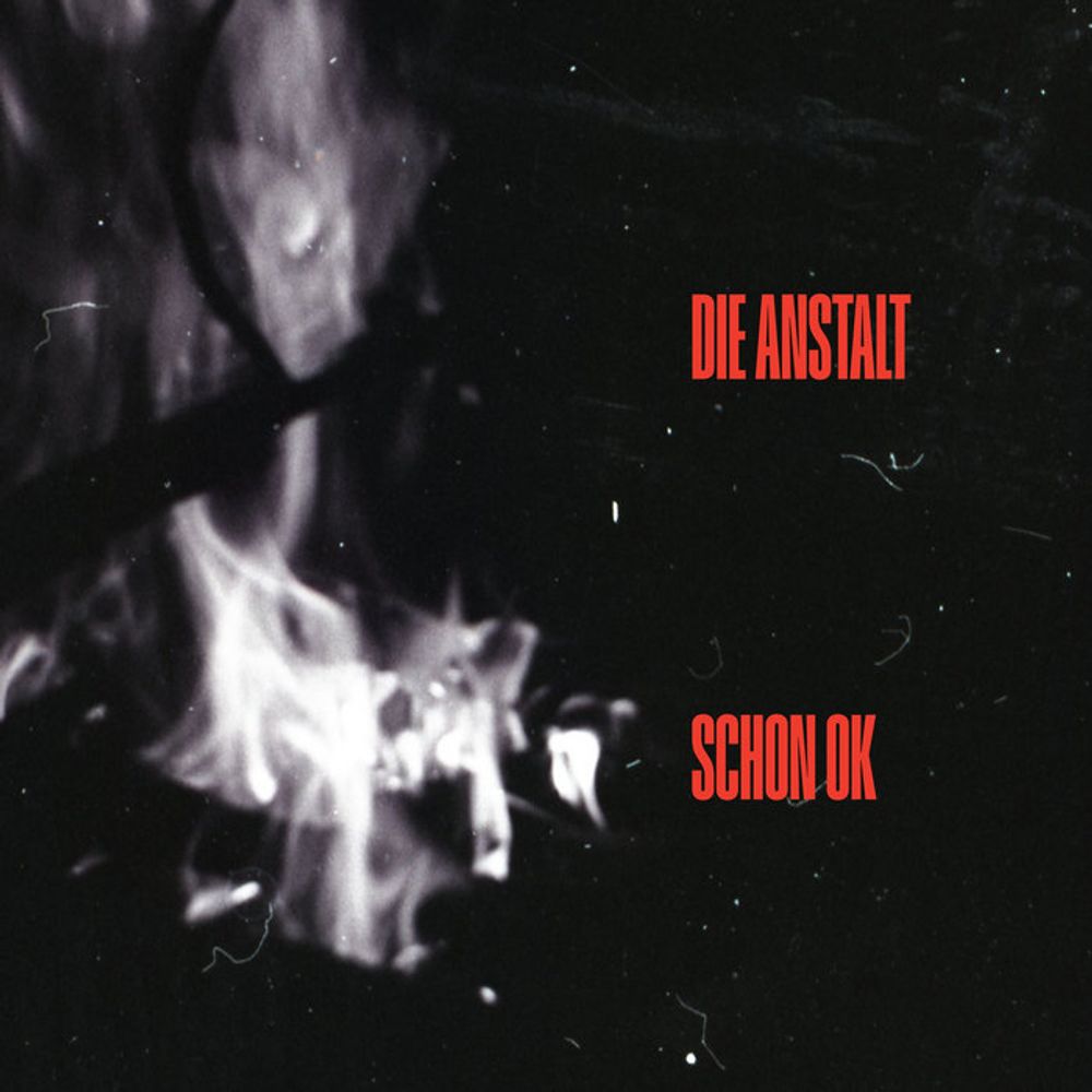 Schon OK, by Die Anstalt