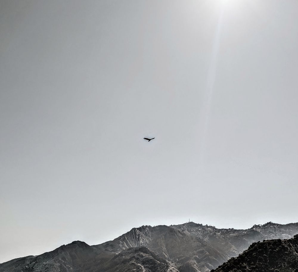 A solitary bird soars high in a warm near-grayscale sky above rugged, sunlit mountains. The hazy light from the sun, positioned near the upper right corner, casts a soft glow over the jagged ridgelines and shadowed slopes below.