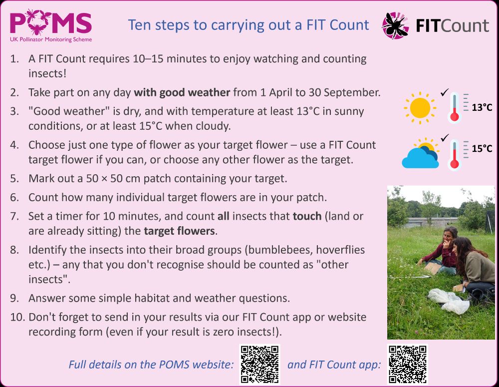 Poster: Ten steps to carry out a FIT Count
1. A FIT Count requires 10–15 minutes to enjoy watching and counting insects!
2. Take part on any day with good weather from 1 April to 30 September.
3. "Good weather" is dry, and with temperature at least 13°C in sunny conditions, or at least 15°C when cloudy.
4. Choose just one type of flower as your target flower – use a FIT Count target flower if you can, or choose any other flower as the target.
5. Mark out a 50 × 50 cm patch containing your target.
6. Count how many individual target flowers are in your patch.
7. Set a timer for 10 minutes, and count all insects that touch (land or are already sitting) the target flowers.
8. Identify the insects into their broad groups (bumblebees, hoverflies etc.) – any that you don't recognise should be counted as "other insects".
9. Answer some simple habitat and weather questions.
10. Don't forget to send in your results via our FIT Count app or website recording form (even if your result is zero insects!).

Full details on the POMS website and FIT Count app.
